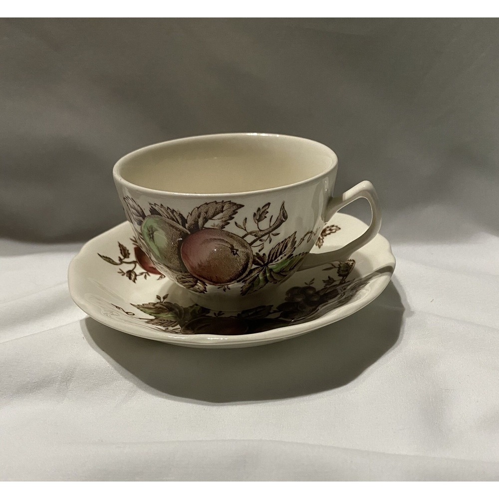 Johnson Brothers Harvest Time Brown Multicolor Cup & Saucer